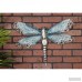 Alcott Hill Dragonfly Wall Décor ALCT4045