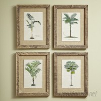 Birch Lane™ Palm Tree Framed Prints BL10827