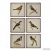 Loon Peak Spring Soldiers Bird 6 Piece Framed Graphic Art Set LOON2076