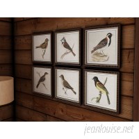 Loon Peak Spring Soldiers Bird 6 Piece Framed Graphic Art Set LOON2076