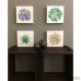 Wrought Studio 'Succulents' 4 Piece Print Set on Canvas VRKG7223