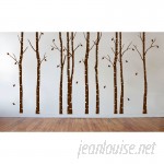 Innovative Stencils Birch Tree Forest Branches Wall Decal ISTC1018