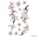 WallPops! Home Decor Line Photographic Blossom Wall Decal WPP1949