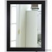 Brayden Studio Handcrafted Beveled Vanity Wall Mirror BRYS6719