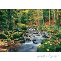 Brewster Home Fashions Ideal Decor Forest Stream Wall Mural BZH2081