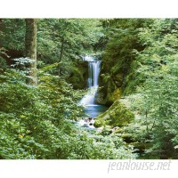Brewster Home Fashions Ideal Decor Waterfall in Spring 144' x 100" Wall Mural BZH2082