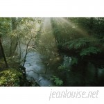Brewster Home Fashions National Geographic Forest Stream with Sunbeams 72' x 48" Wall Mural BZH3708