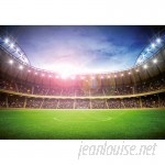 Brewster Home Fashions Stadium at Night 8.3' x 144" 8-Panel Wall Mural BZH9013