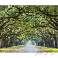 Brewster Home Fashions Ye Old Trees 8' x 118 6 Piece Wall Mural Set BZH9235