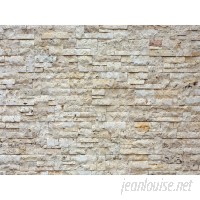 East Urban Home Rustic Bricks Non-Woven 11.8' L x 106" W Stone Wall Mural ETHH8245