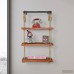 Bungalow Rose Castillon Industrial Modern Pipe Wall Shelf with Adjustable Rope BGRS7683