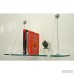 Spancraft Glass Floating Glass Wall Shelf QXY1013