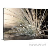 Canvas On Demand Pearls Photographic Print on Wrapped Canvas CAOD3751