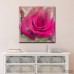 Ebern Designs 'Painted Petals XL' Photographic Print on Wrapped Canvas EBRD1460