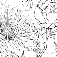 Brayden Studio Malbon Botanical Garden Hand Drawn Flowers Art 4 Piece Peel and Stick Wallpaper Panel BYST8509