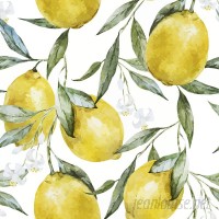 Walls Need Love Life of Lemons Removable 5' x 20" Floral Wallpaper WANL3217