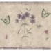 Winston Porter Gilmour Abstract Flowers Butterfliesish 15' L x 7'' W Abstract Wallpaper Border WNSP2682
