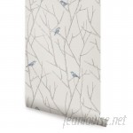 Ophelia Co. Kallas Branch Birds 4' L x 24" W Peel and Stick Wallpaper Roll OPCO6778