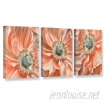 ArtWall 'Poppyscape' by Cora Niele 3 Piece Photographic Print on Wrapped Canvas Set JJM8563