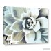 Bungalow Rose Blue Succulent Painting Print on Wrapped Canvas BNGL6126