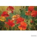 East Urban Home Poppy Fields Painting on Wrapped Canvas ESRB5870