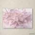 House of Hampton 'Pink Peony Petals II' Photographic Print on Wrapped Canvas HMPT4918