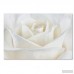 House of Hampton 'Pure White Rose' Photographic Print on Wrapped Canvas HMPT4917