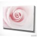 House of Hampton 'Rose Embrace' Oil Painting Print on Wrapped Canvas HOHM5976
