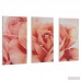 House of Hampton Robelmont Pretty Fresh Rose Flower Triptych 3 Piece Photographic Print on Wood Set HOHN2445