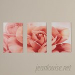 House of Hampton Robelmont Pretty Fresh Rose Flower Triptych 3 Piece Photographic Print on Wood Set HOHN2445