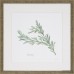 Lark Manor 'Herbs' 4 Piece Framed Graphic Art Print Set LRKM3038