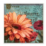 Stupell Industries 'Colorful Daisies with Antique French Backdrop' Textual Art Wall Plaque VYH2823