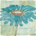 Winston Porter 'Spa Daisies' Framed on Canvas WNST5315