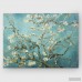 World Menagerie 'Almond Blossom' Print WRMG2775