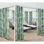 Bay Isle Home Petersham Banana Leaf Nature Sheer Outdoor Grommet Single Curtain Panel CXF1871