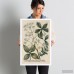 August Grove 'Herbs' Framed Graphic Art ATGR2535