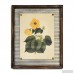 Lark Manor 'Lemon Hibiscus' Framed Graphic Art Print LRKM1212