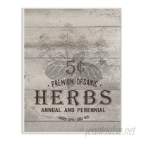 Stupell Industries Premium Organic Herbs' Textual Art VYH3922