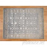 Astoria Grand One-of-a-Kind Salzer 300 Kpsi Tone on Tone Hand-Knotted Silver Area Rug ASTD1800