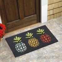 Bay Isle Home Terwood Pineapples Vinyl Backed Coir Doormat VIAI1170
