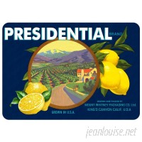 August Grove Molimo Presidential Lemons Kitchen Mat AGRV4841