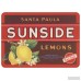 August Grove Molimo Sunside Lemons Kitchen Mat AGRV4840
