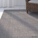 Beachcrest Home Greene Hand-Woven Gray Indoor Area Rug BCHH7820