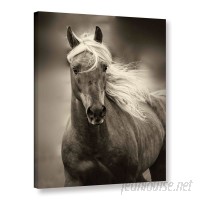 Alcott Hill Palomino Photographic Print on Wrapped Canvas ALCT6253