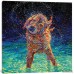 Andover Mills 'Moonlight Swim' Print on Wrapped Canvas ADML1091