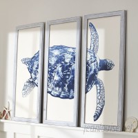 Birch Lane™ Sea Turtle Triptych Framed Print BL6172