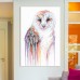 Bungalow Rose Barred Rainbow Owl Painting on Wrapped Canvas BNGL5246