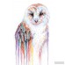 Bungalow Rose Barred Rainbow Owl Painting on Wrapped Canvas BNGL5246