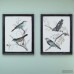 Darby Home Co Maisly Bird 2 Piece Framed Graphic Art Print Set on Wood in Blue/Brown DRBC1803