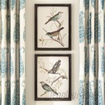 Darby Home Co "Maisly Bird" 2 Piece Framed Graphic Art Print Set on Wood in Blue/Brown DRBC1803